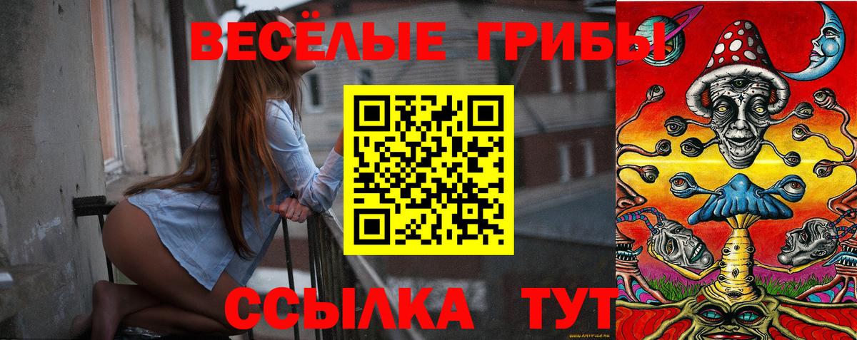 Галлюциногенные грибы прущие грибы Комсомольск-на-Амуре