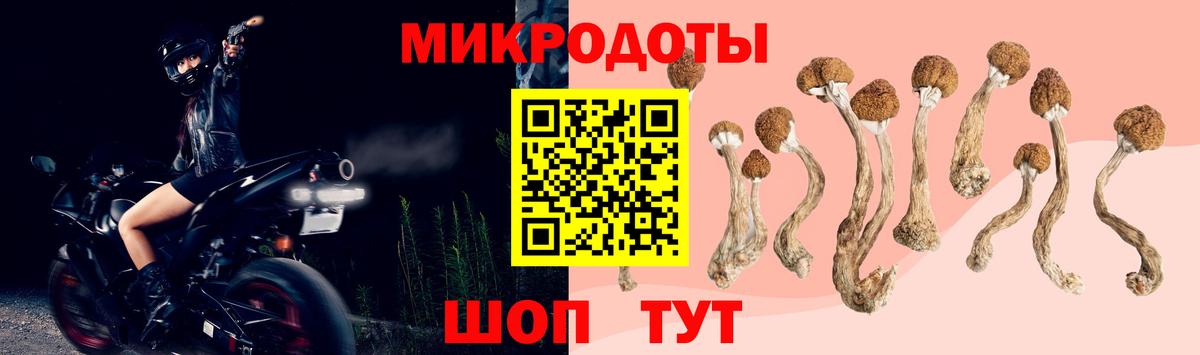 Комсомольск-на-Амуре  Псилоцибиновые грибы ЛСД  Вход с VPN 